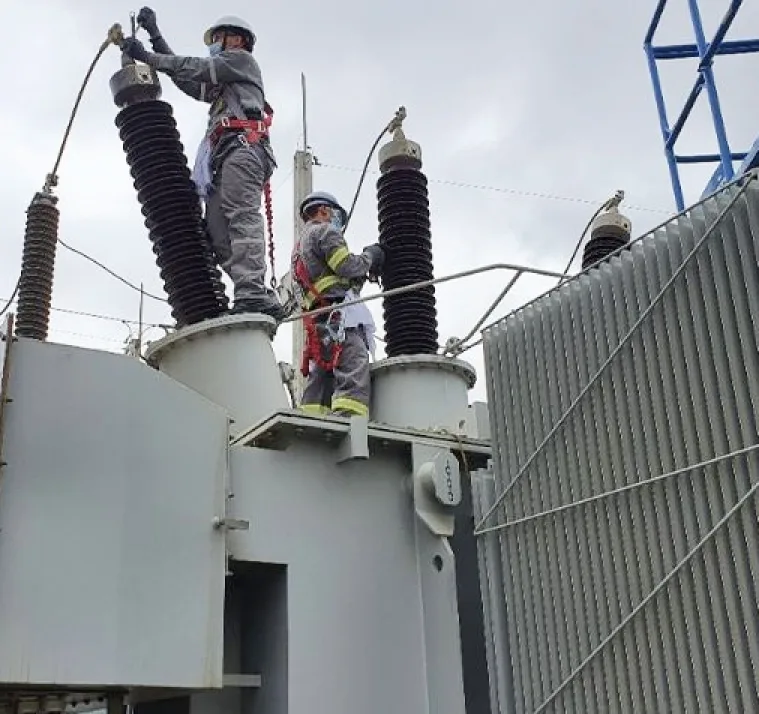 imagem de referência mnascimento